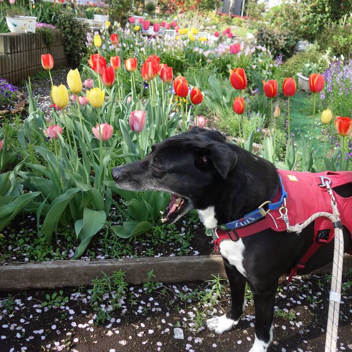 0776e2b3 b792 421a 9323 001fed59e38a 1680313489427