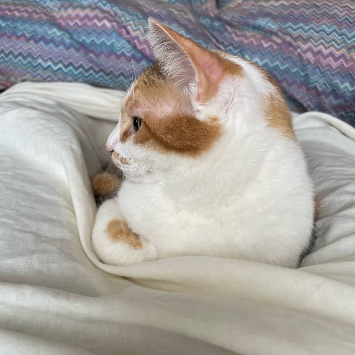 0776ed40 8fb8 4485 b875 3fb68ec23a28 1657755247041