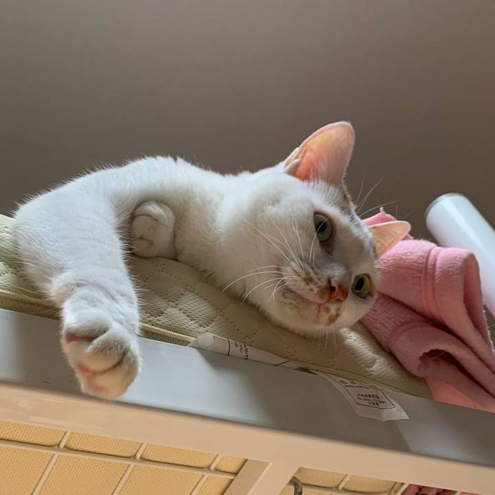 077702d4 42a9 4f4f b5e2 3c7ae897919e 1624965110893