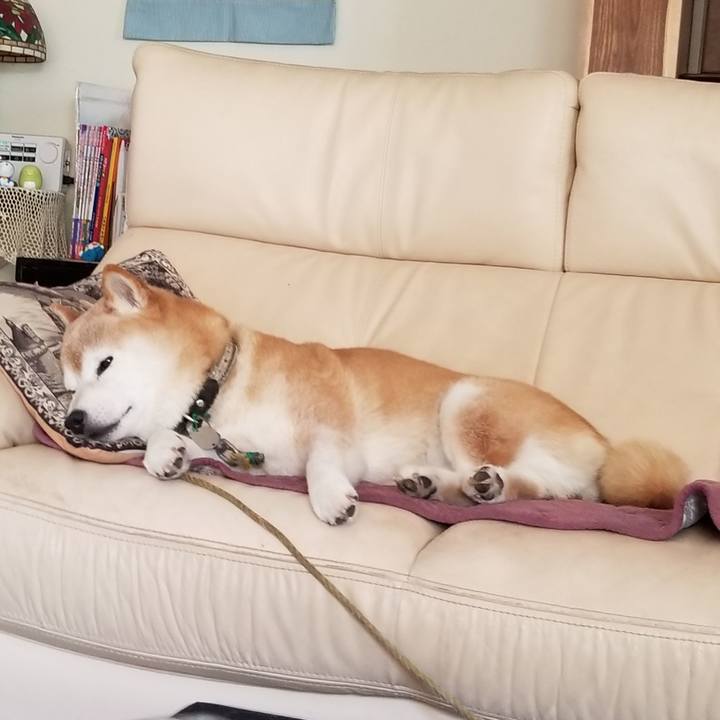 077704ff 0db3 4e58 97ac bf7ed94d84dd 1693707694371