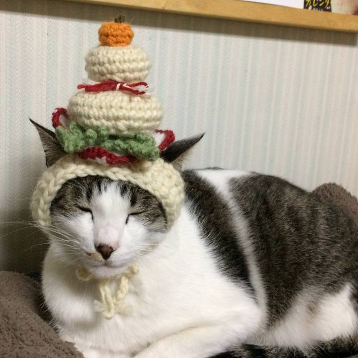 0777239e 0527 4f2b 9f40 9805c85022ce 1514858174392