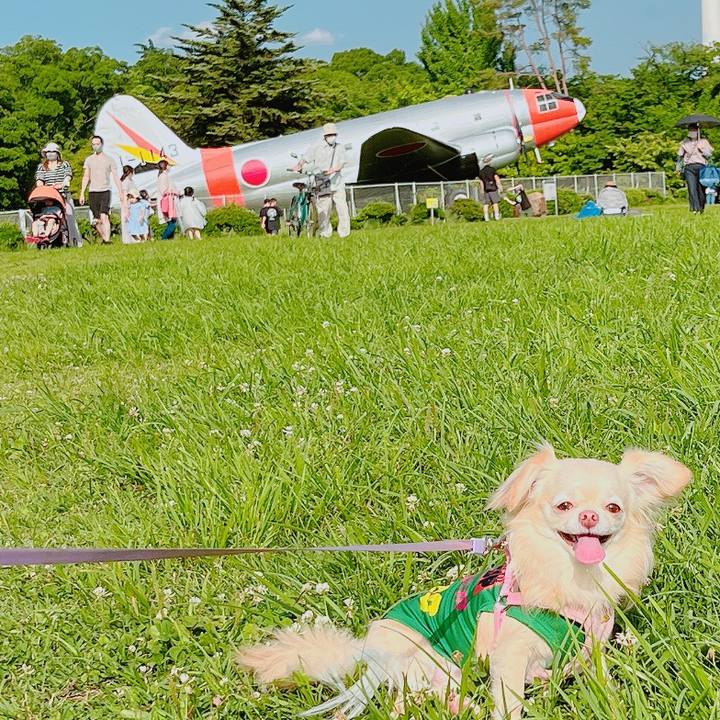 07772b7e 7b23 43b8 a0e1 e8790430c38e 1653742569647