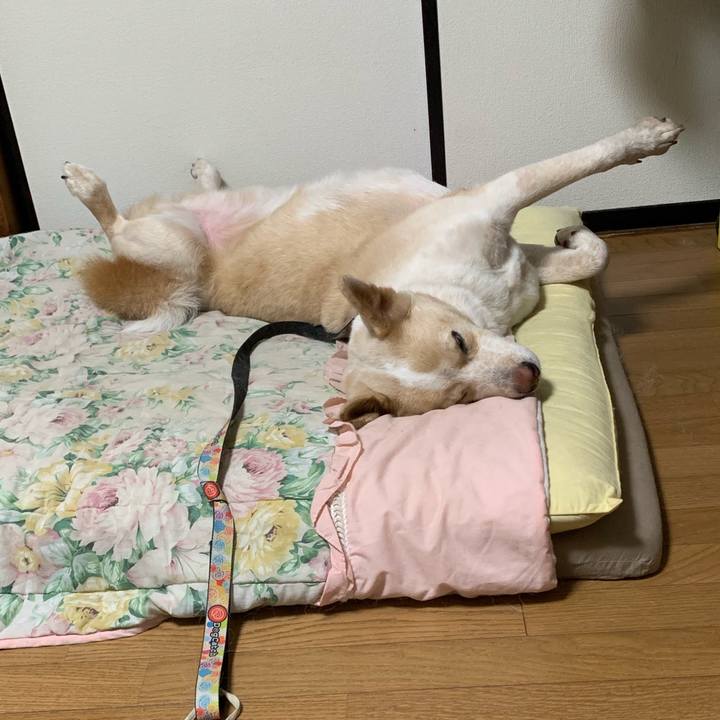 07772d8f f2b8 4c45 9b82 6f135c5ce7c9 1563290105663