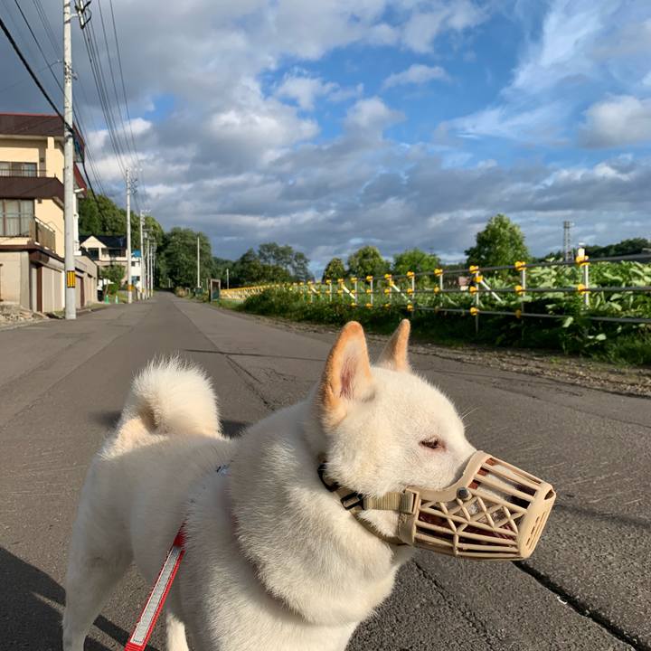 07776540 be9d 4a70 9739 ed1b84fbb328 1565907473110