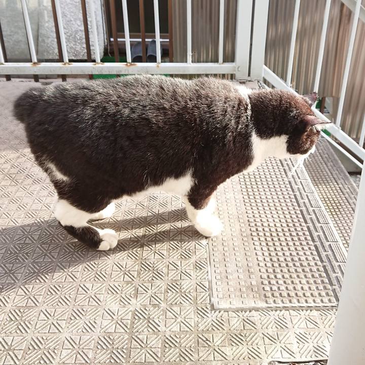 07776c7b 211f 4aa1 ac99 1253f051e145 1629237218596