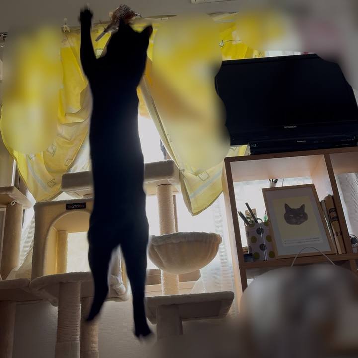 0777eab8 ca34 405c b7ad e33210c54a39 1750084747931