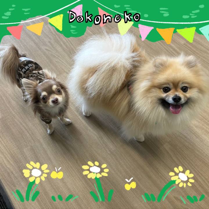 0777f301 7067 45d3 83e9 bfb7e9bcc4e7 1711093007286