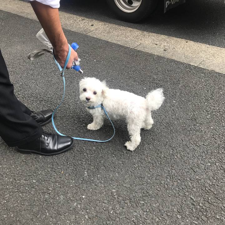 0778163d e8a9 43a8 a0e5 cad3c8fd5543 1507091537978