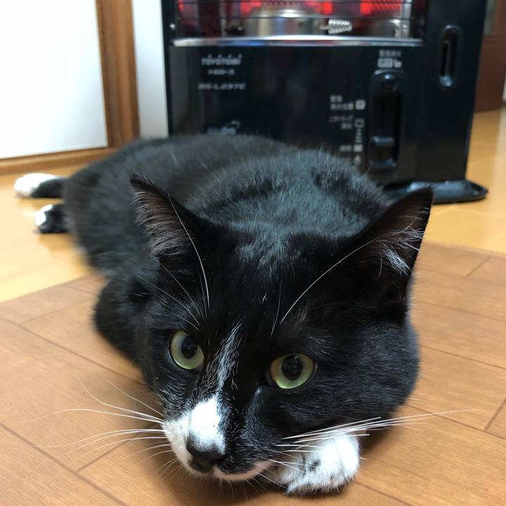 0778cb4a 37e3 45e9 9041 53a10c7fc387 1518061644474