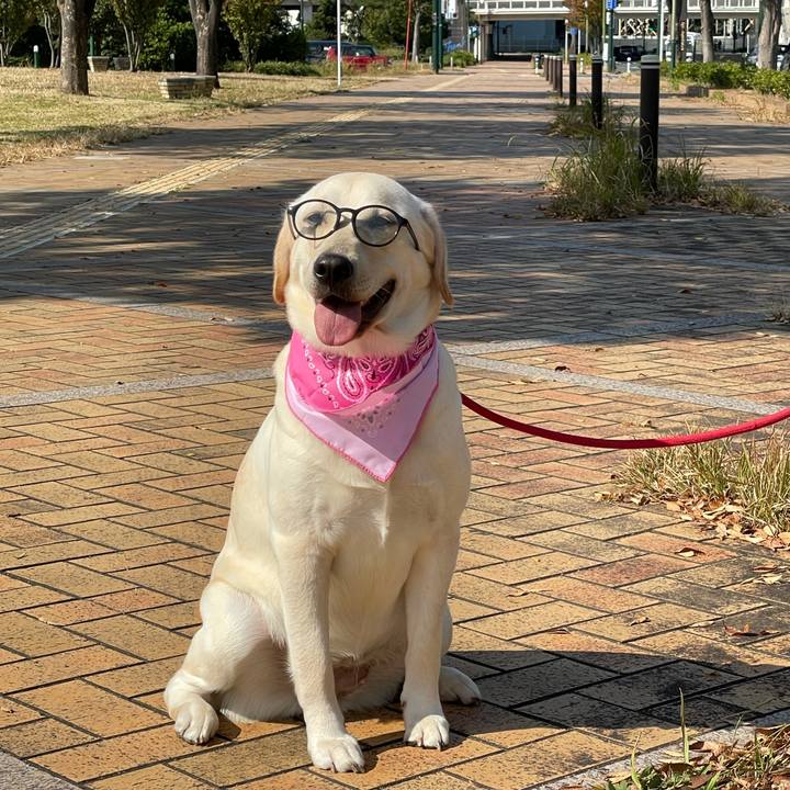 0778fcf8 138e 40f9 aa69 c3a4d40b60a0 1635324692440