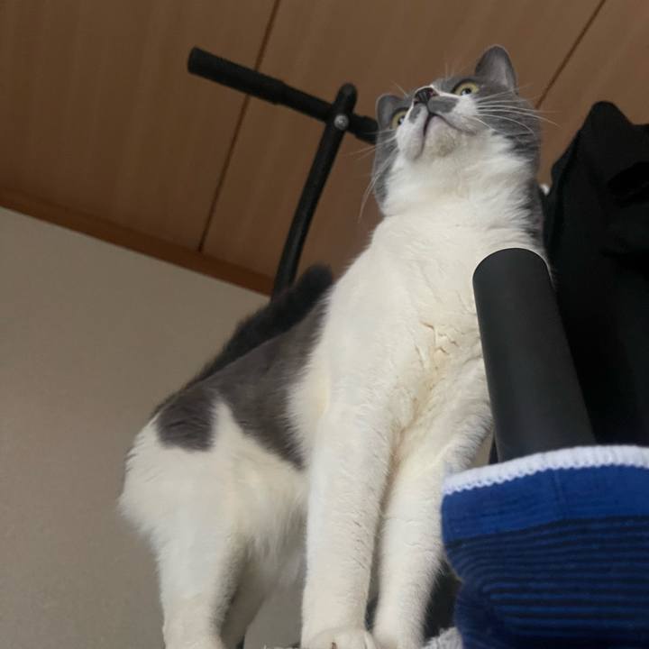 0779120d 0dad 438f 8967 6c6574ce98a7 1708847704108