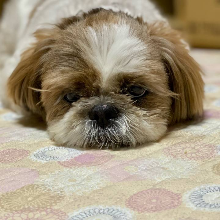 07791607 b0d8 4855 bbff afcd9949ae3e 1627044761615