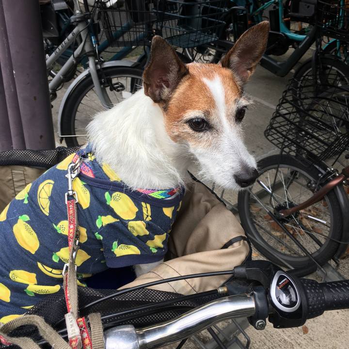 07797b65 498f 408b 948d 4cff283c9adb 1634346169138