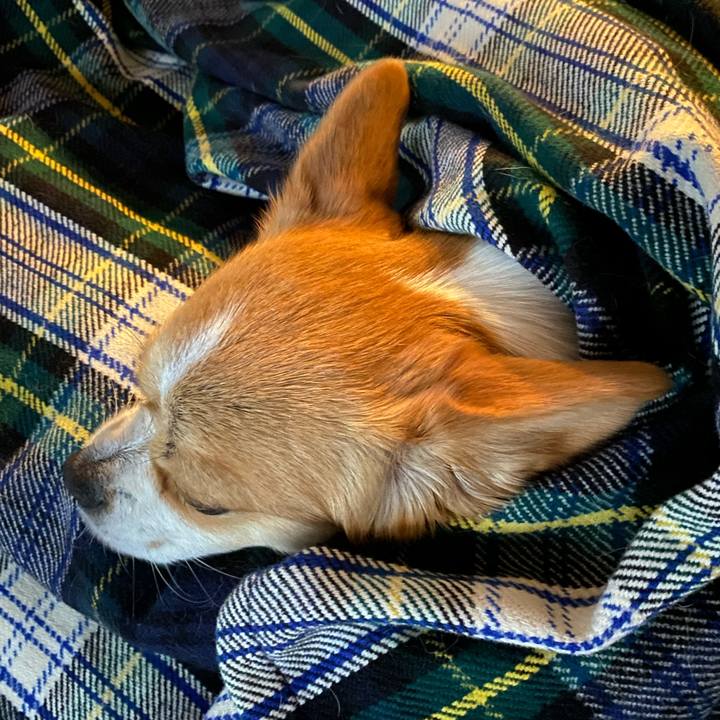 07798a5d afc5 45db b5c1 0b51c42fe872 1648974432592