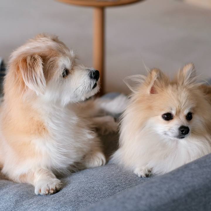 0779e651 f179 431b 9dab 37507a011046 1762379484082