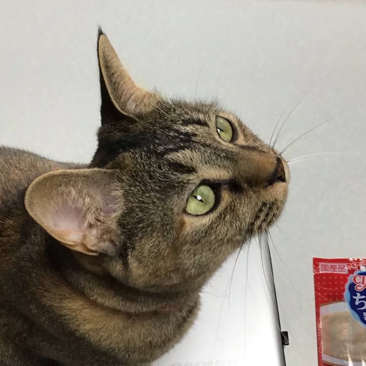 0779ff49 0883 4bd8 ba51 ceffef9c22b2 1629971003719