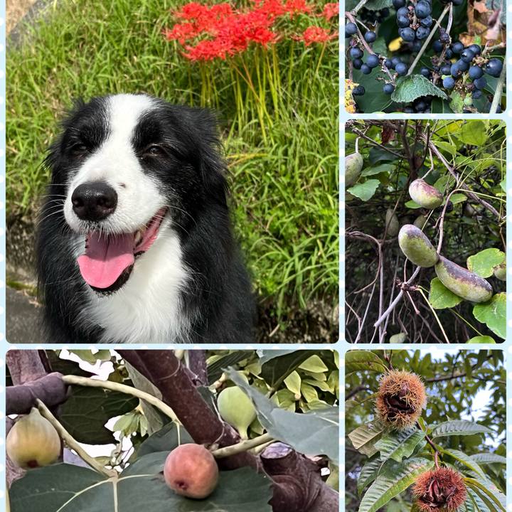 077a0ea6 a5cb 4e1a 880f 23f252fb0451 1758981196979