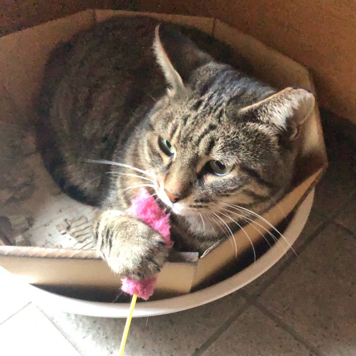 077a1cc2 1514 40fe 8174 321df04fc671 1572168161330