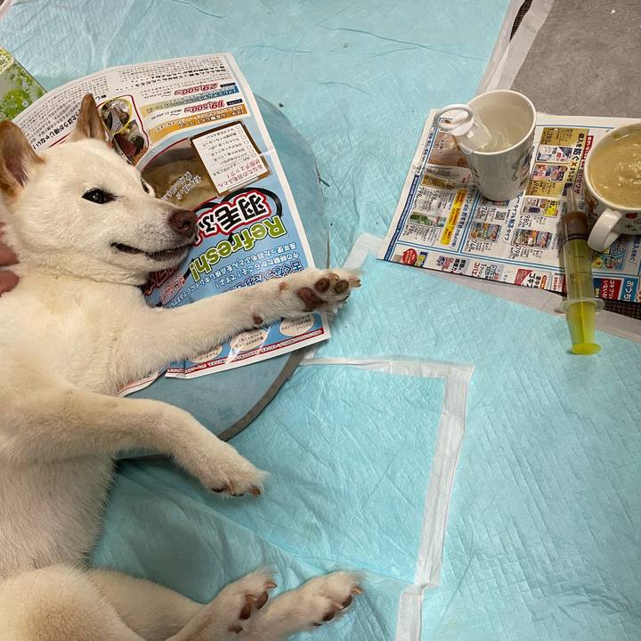 077a5014 0b11 4c3a 814e d7feed45c28a 1653838863212