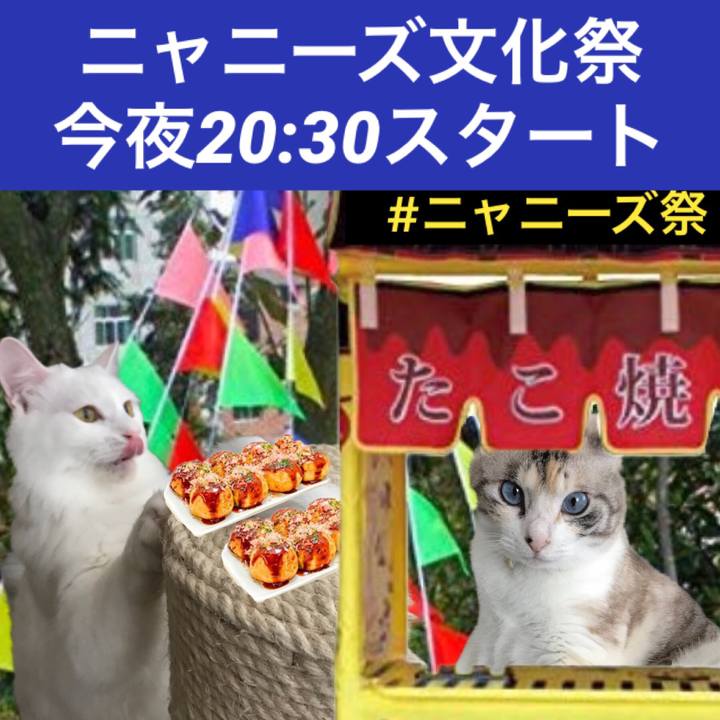 077a6887 330c 4213 b326 6d4446c48f77 1541189149405