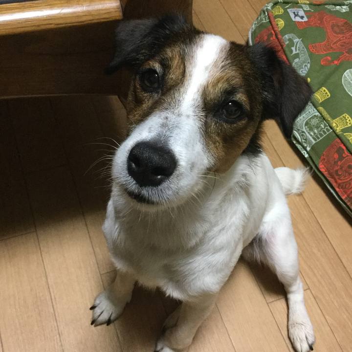 077a727a da58 4049 9753 fd3642b51811 1531821294123