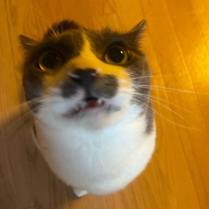 077a78c9 d963 476d bae9 c6877ab1c4ab 1751409036100