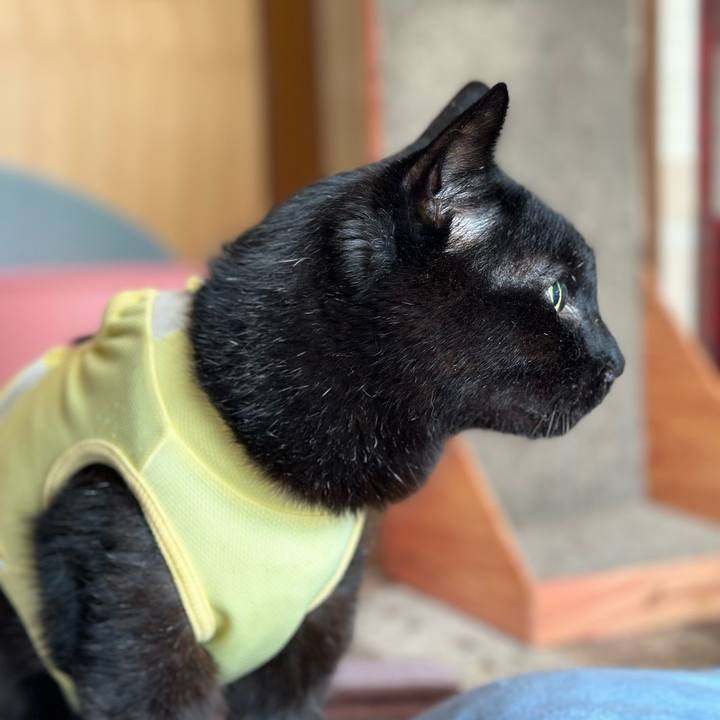 077b1af5 eb83 405f bae3 e79a891fcd0e 1718070760534