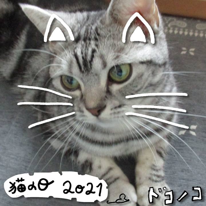 077b3491 c310 4b2e a4c2 8864022e206f 1613984888392