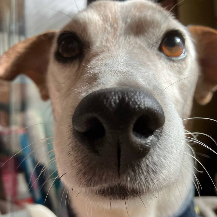 077b3aea 48fa 4ba0 a276 5bb1b7f12b61 1763075646289