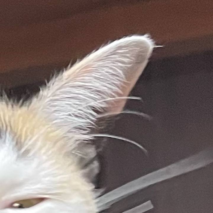 077b543c 9ba5 49b2 8b70 febc28368e96 1745718759986