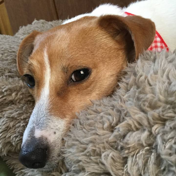 077b832c d141 4e20 88b0 3c7224d217d1 1518421566982