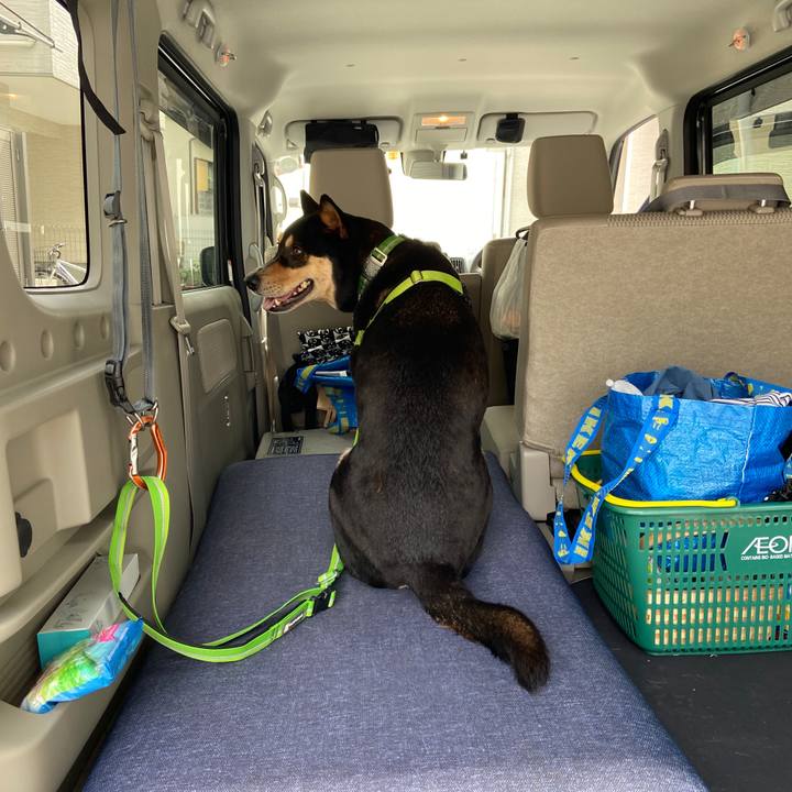 077bcb2e 783b 4b9e 8b33 9efab844d876 1624271487164