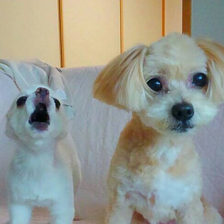 077c0fef 062d 44c1 bd3d 5ba4a1e6f01e 1567345265351