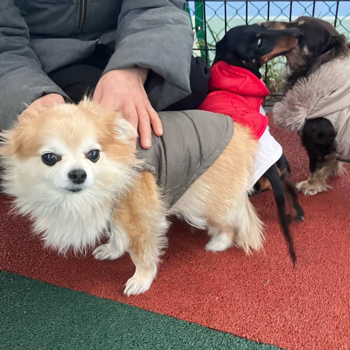 077c2a5e 6bac 49a9 965c 685aecf2ee78 1770029386958