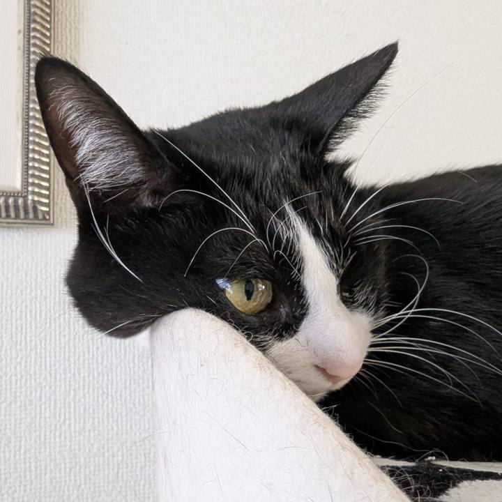 077c4d08 b5b5 45d6 ab06 fae6b6f60a17 1764818487942