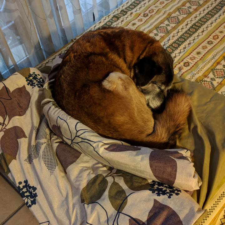 077c4da4 5e1f 42c6 b165 f17aefd544bb 1553292905121