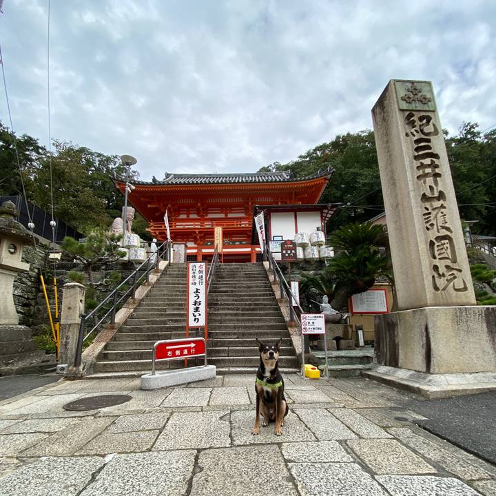 077c656c 5733 4f06 ab84 ac1f2e19e421 1603878129956