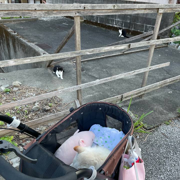 077c66c3 3ea1 487f b376 4d46fe1fefd1 1662989215961