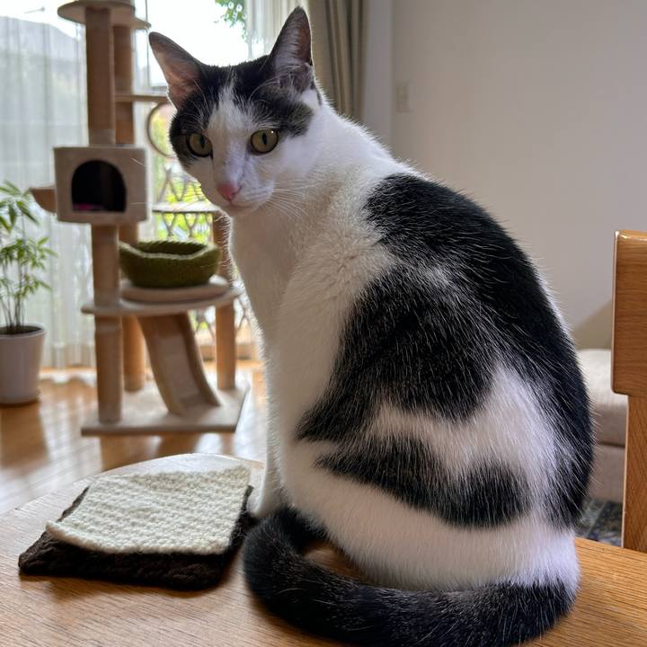 077c74df c5e8 4dfb 89b0 2edd9c76e018 1715816412950