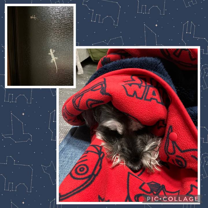 077c921a 4654 44be 8ca9 1ae30952eb12 1730639082705