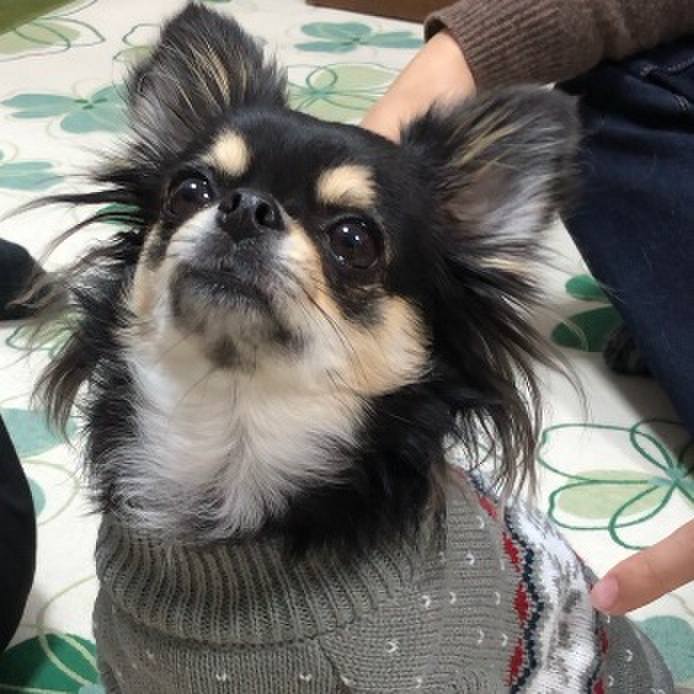 077cf9c3 50c6 49ab 9270 defe57de098f 1576018226252