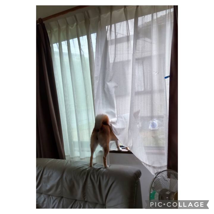 077d1c2b c5ee 4972 9ed2 769114b80245 1691377954437