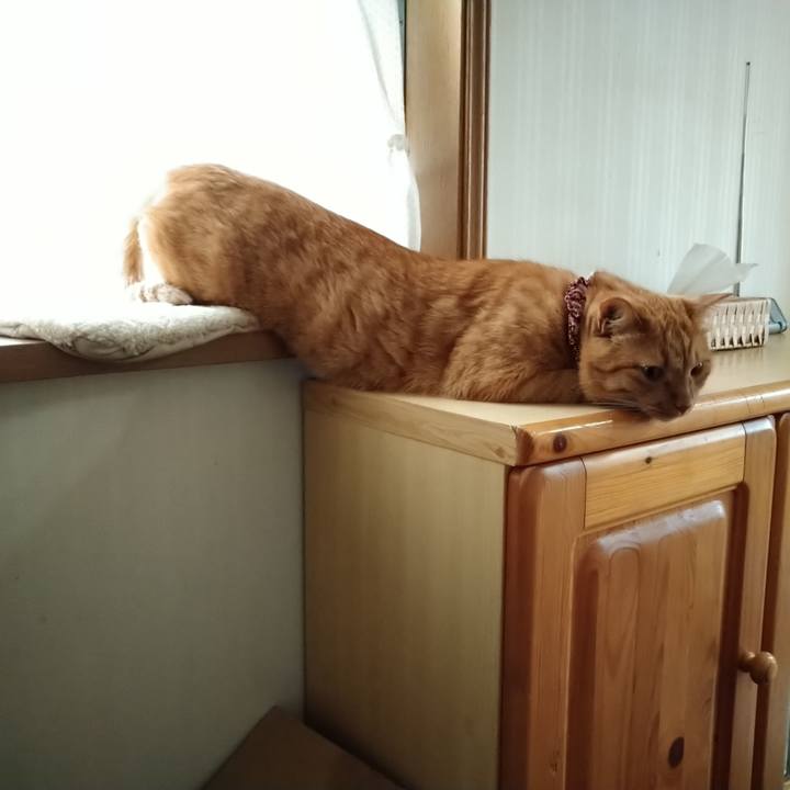 077d6644 7a51 4782 9ac4 0dae60196934 1623137269752