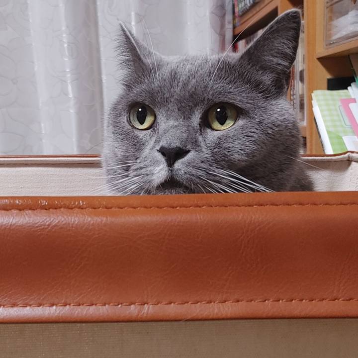 077d722d 74e9 4d18 a5a7 349da3a717f2 1668112123126