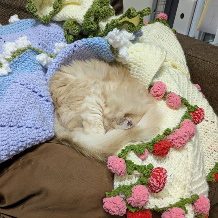 077daa90 993a 40d1 872f ff6f57e5714a 1764249689359