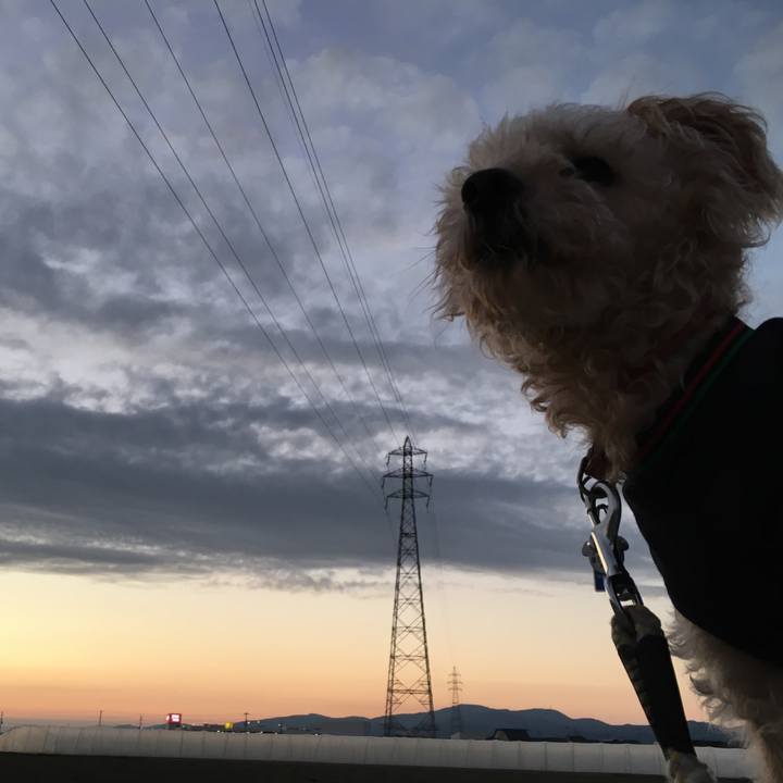 077dac0b a473 4179 b40c 0cdf61b146e6 1541408146559