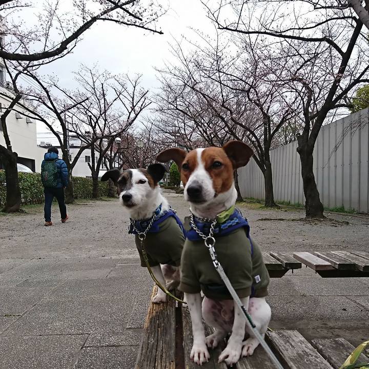 077dec14 7c8e 4d60 b1ba 0ccba93f5e8e 1553301000655