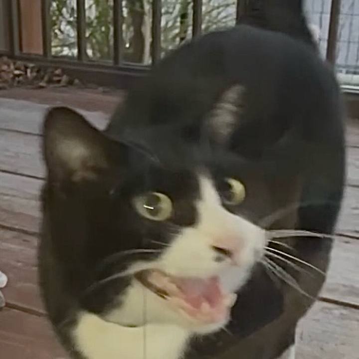 077dffc3 9d8a 470e 987b 1f1a46e70559 1765793115637