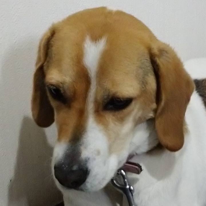 077e1aca 0d5f 48d3 b198 83b33c4850eb 1586748943489