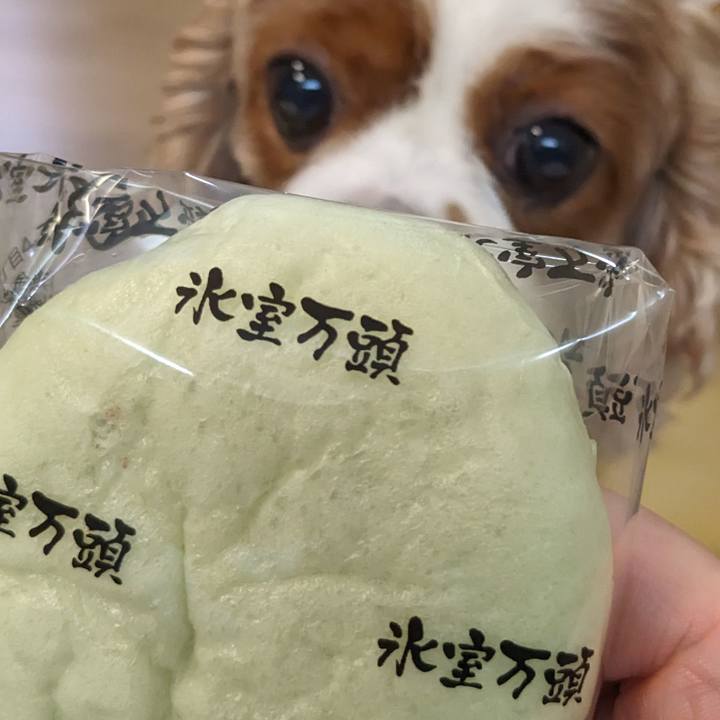 077e4488 5a72 43fe add1 cadbbe426b6d 1719817420586